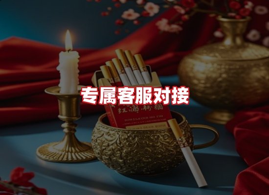 专业团队